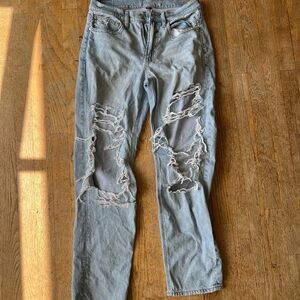 American Eagle Outfitters Light Blue Distressed Ankle Jeans